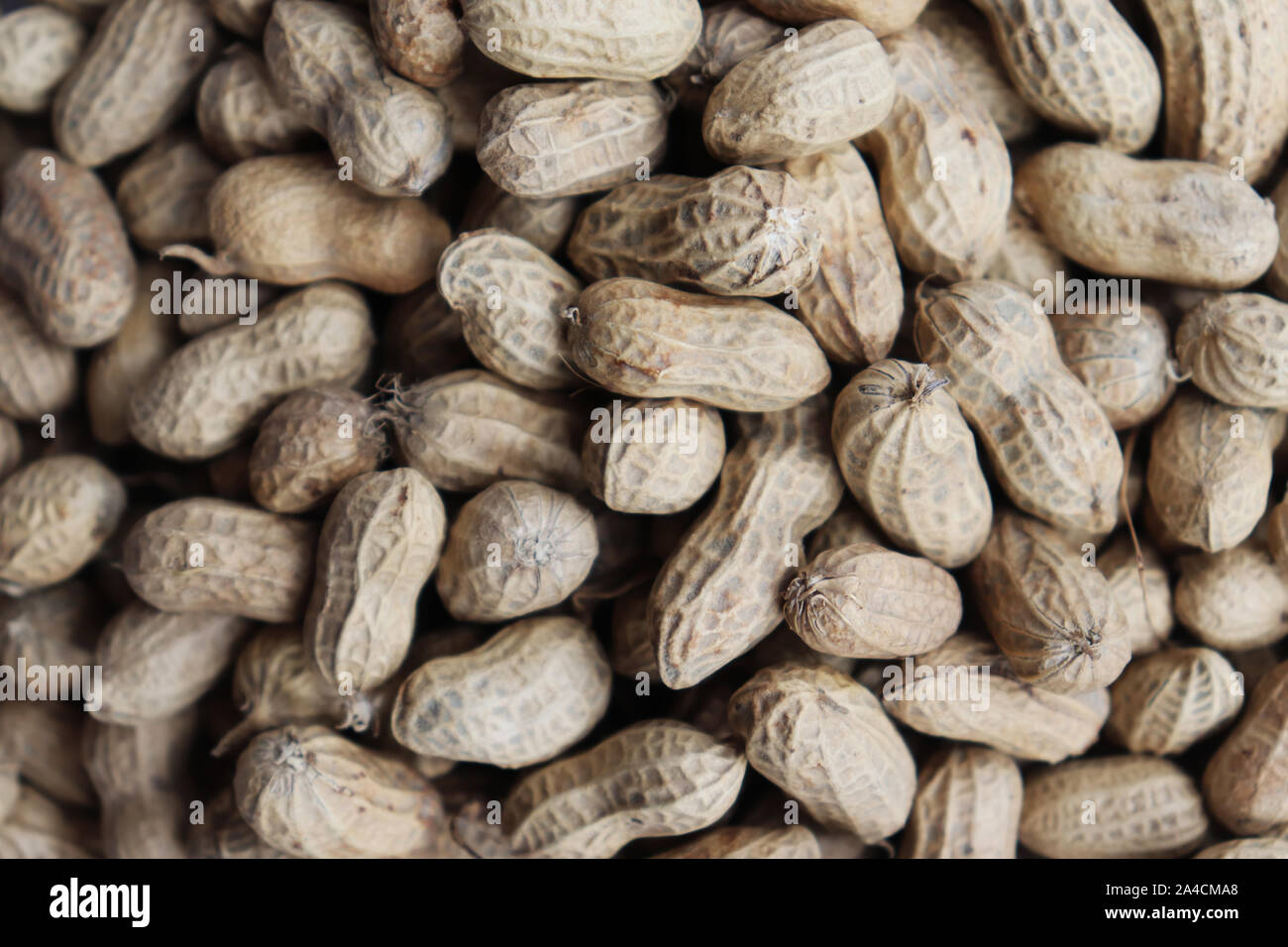 Healthy Peanut Nuts Texture, Peanuts Background Texture Stock Photo Alamy