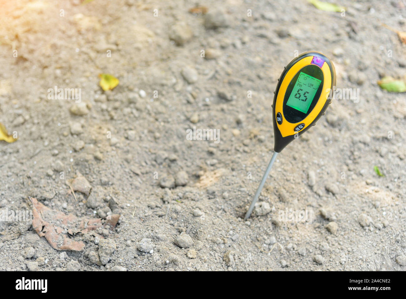 Use soil PH meter for check the PH value Stock Photo Alamy