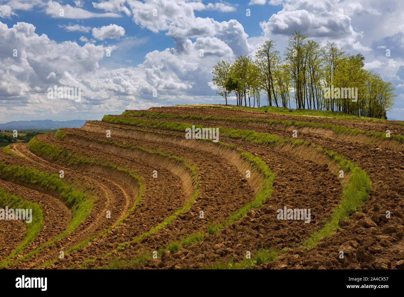 Famous hill Madjerkin Breg in region of Medjimurje, Croatia Stock Photo