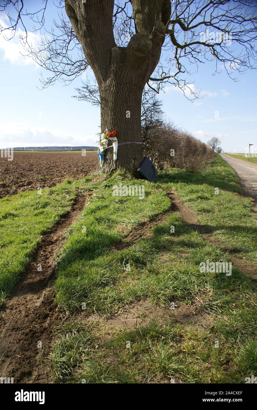 car crash into tree, accident blackspot Stock Photo Alamy