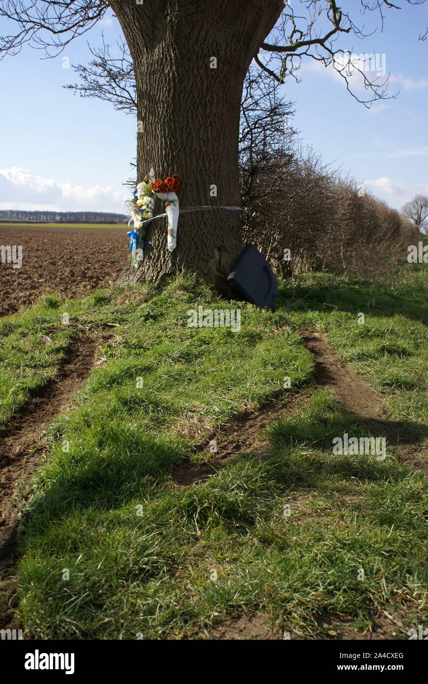 car crash into tree, accident blackspot Stock Photo Alamy