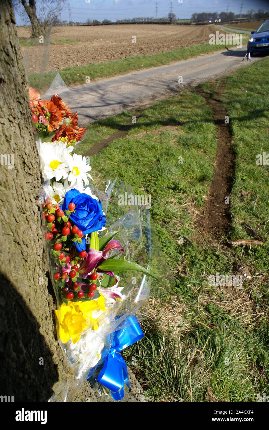 car crash into tree, accident blackspot Stock Photo Alamy