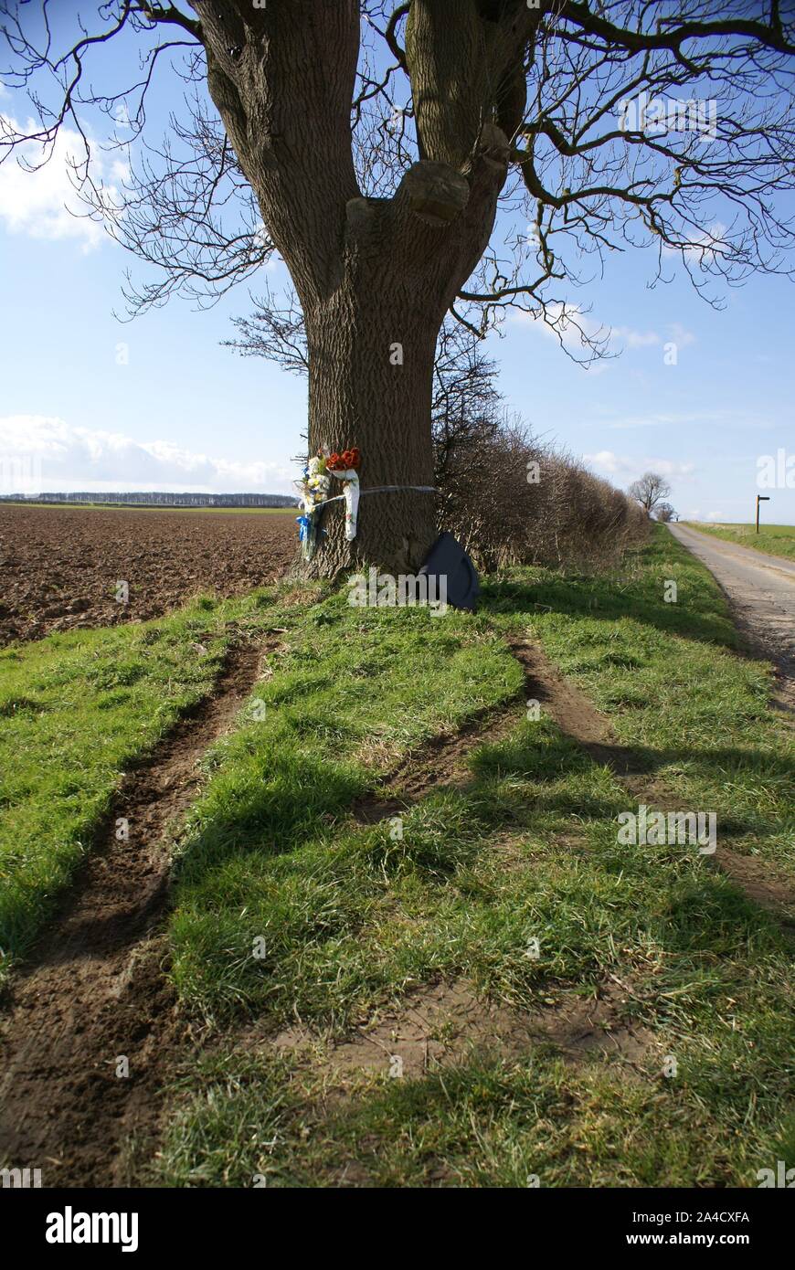 Car Crash Into Tree, Accident Blackspot Stock Photo - Alamy