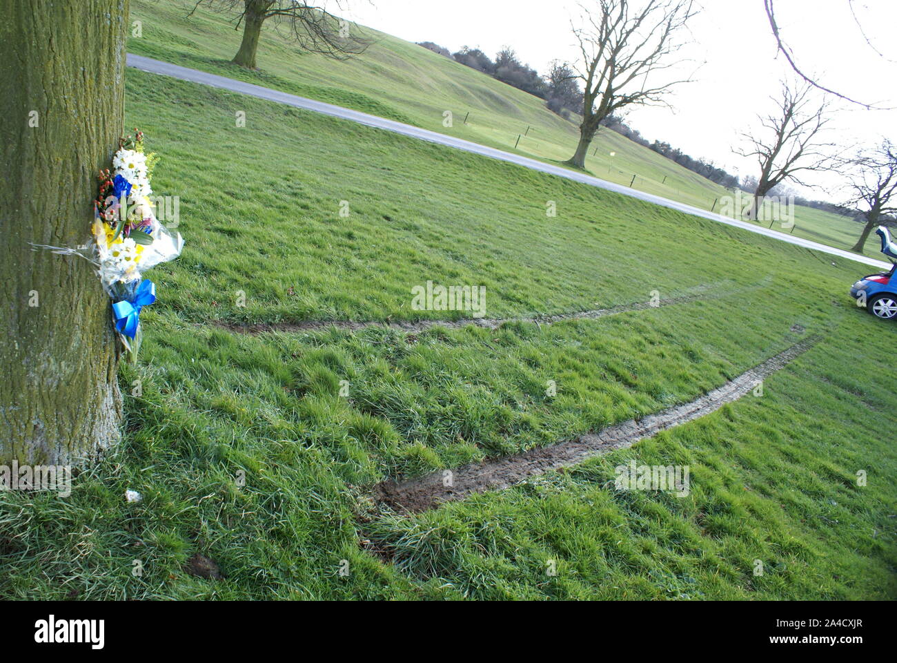 car crash into tree, accident blackspot Stock Photo Alamy