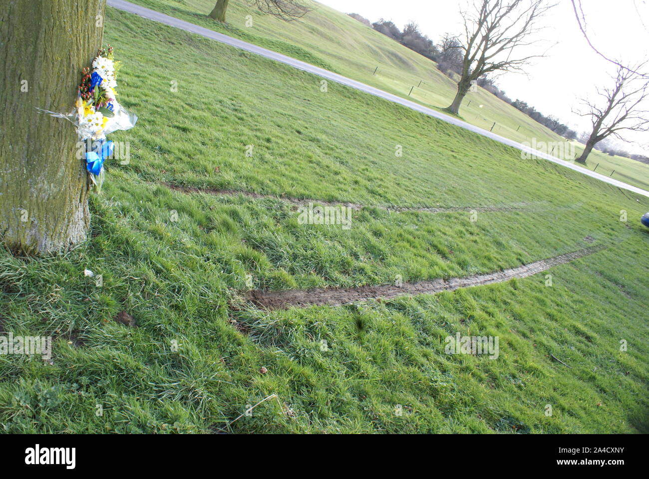 car crash into tree, accident blackspot Stock Photo Alamy