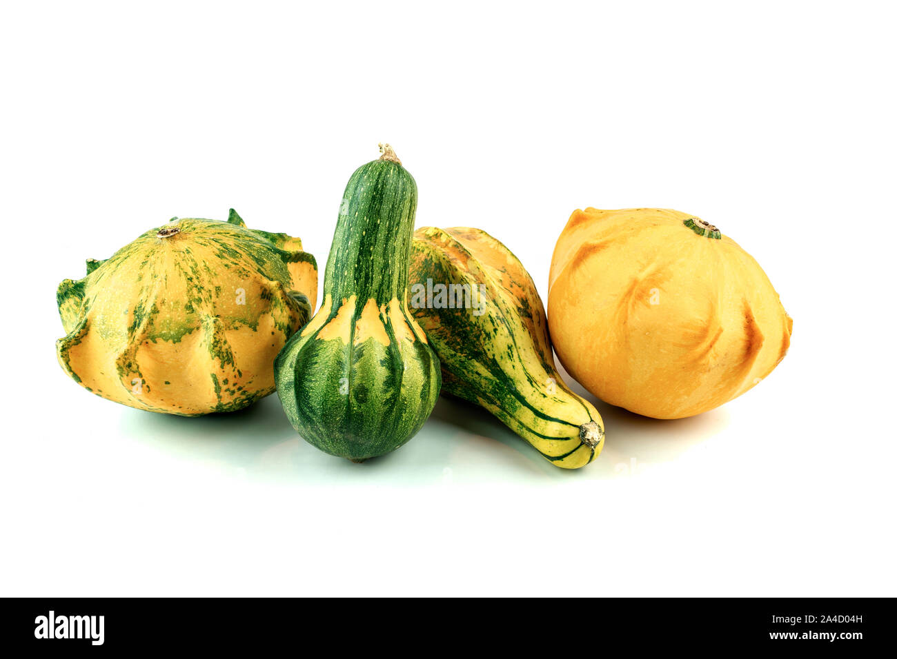 decoration pumpkins in a row on white isolated background Stock Photo