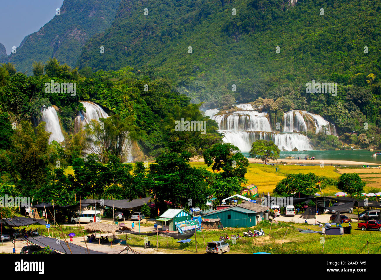 Beauty of Ban Gioc Waterfall in Cao Bang, Vietnam in harvest time Stock Photo Alamy