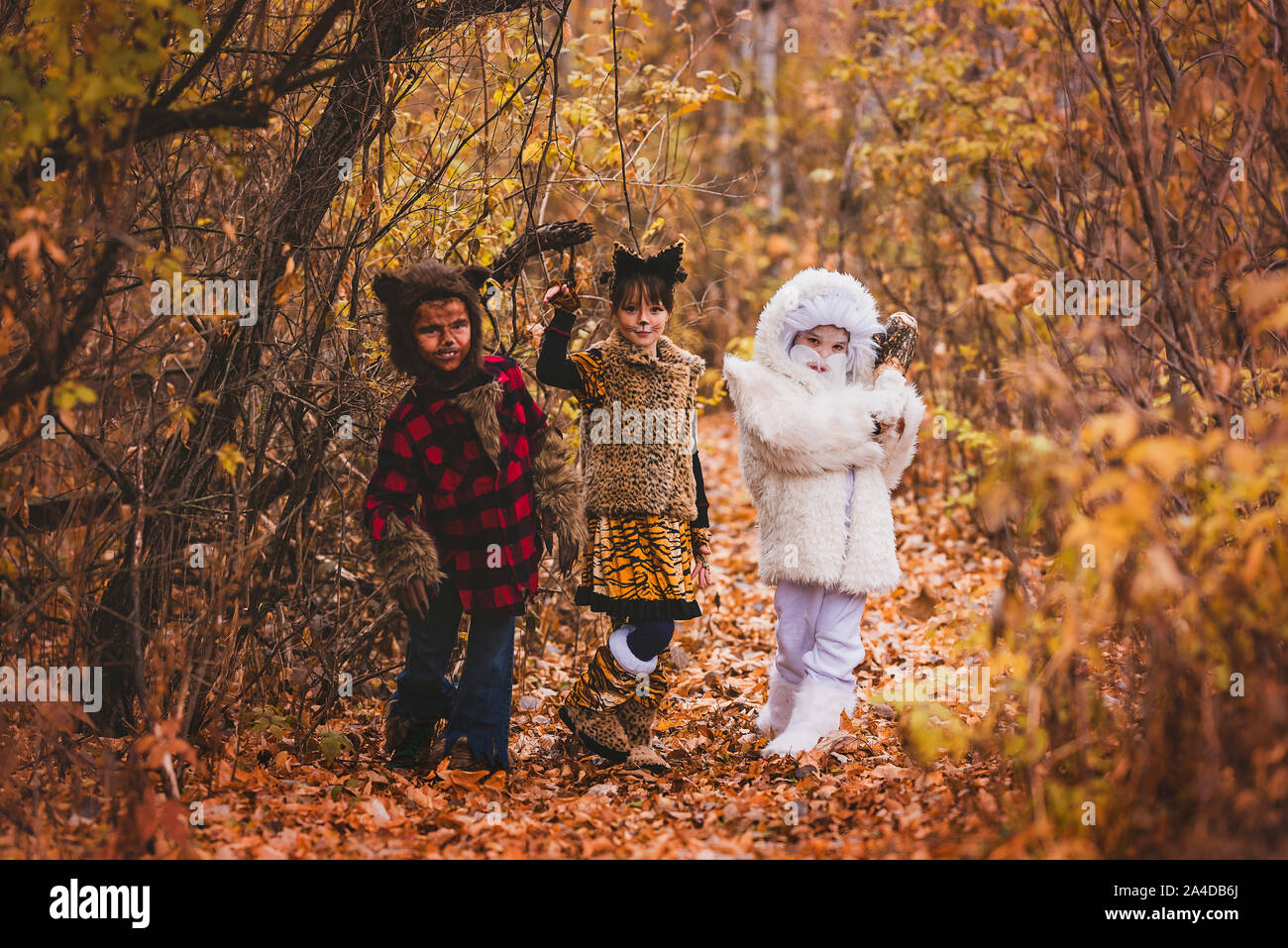 Three Children in the forest dressed up for Halloween, United States Stock Photo