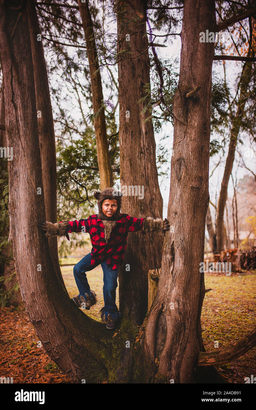 Boy dressed as a werewolf for Halloween climbing a tree, United States Stock Photo