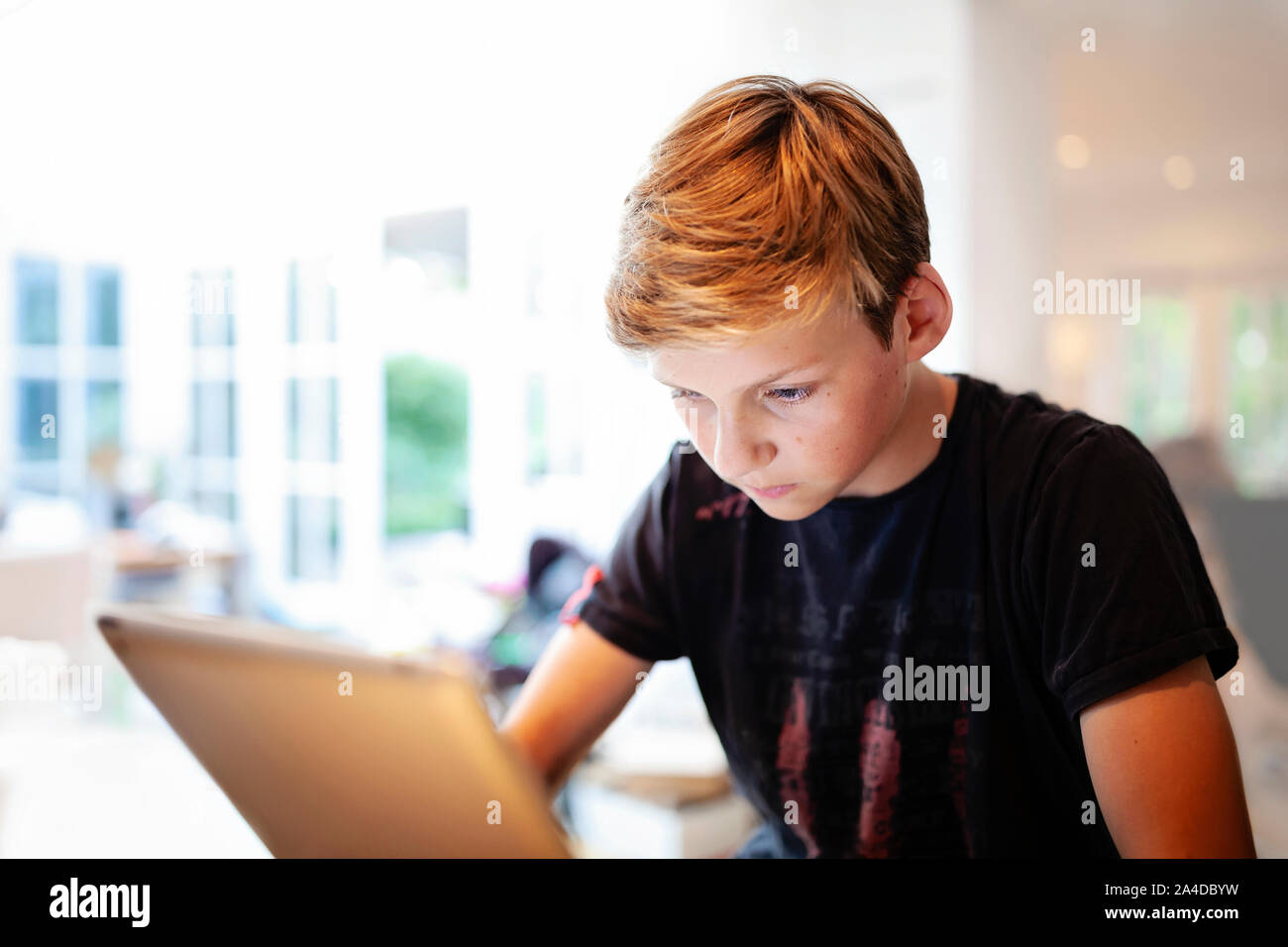 Boy sitting at table using a digital tablet Stock Photo