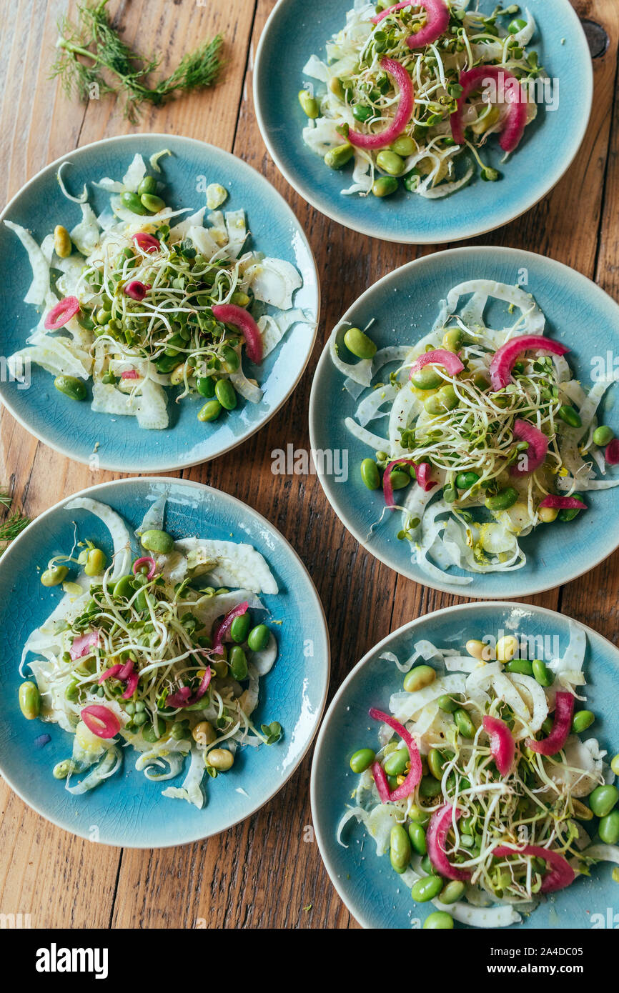 Five plates of radish salad with red onion, edamame beans and bean sprouts Stock Photo