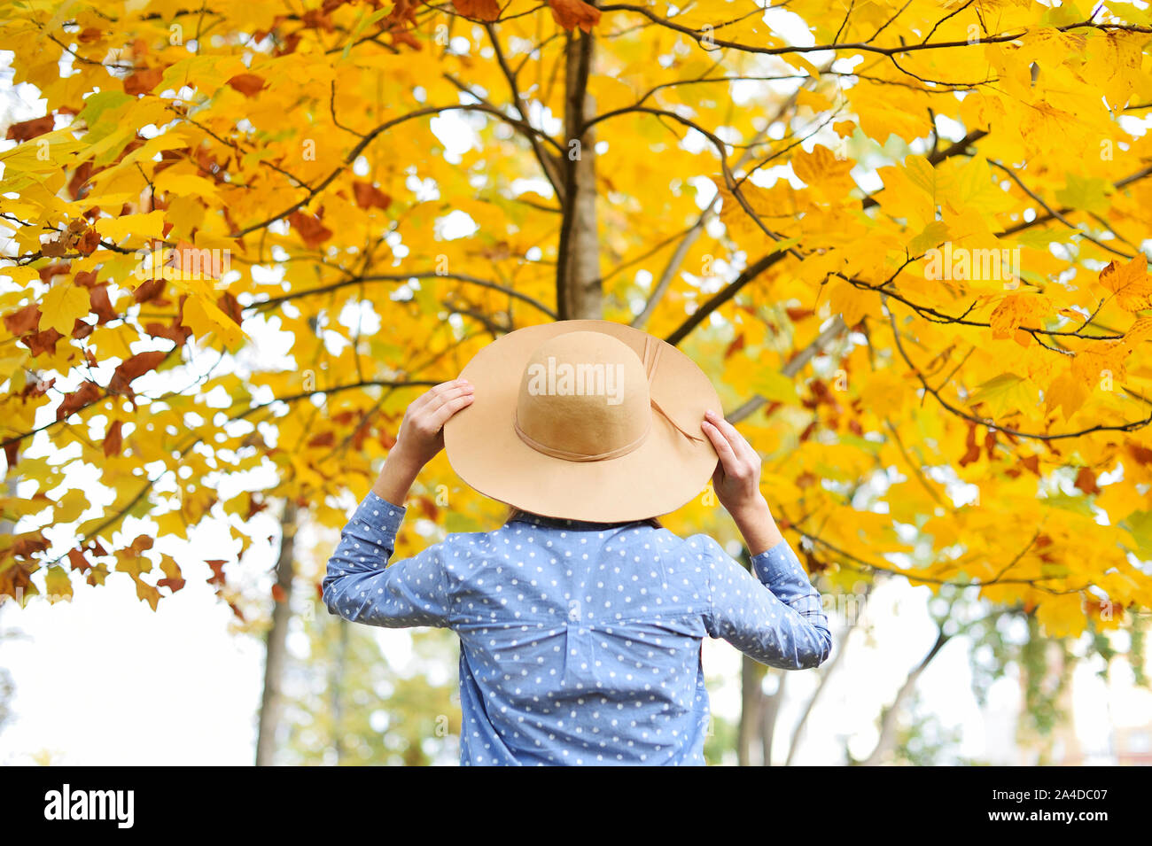 Autumn portrait of woman with hat outdoors. Back view Stock Photo