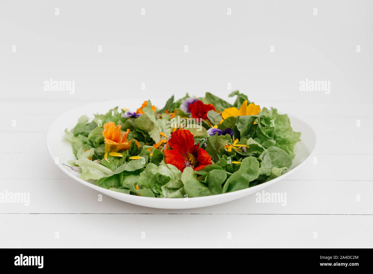 Plate of Green salad with edible flowers Stock Photo