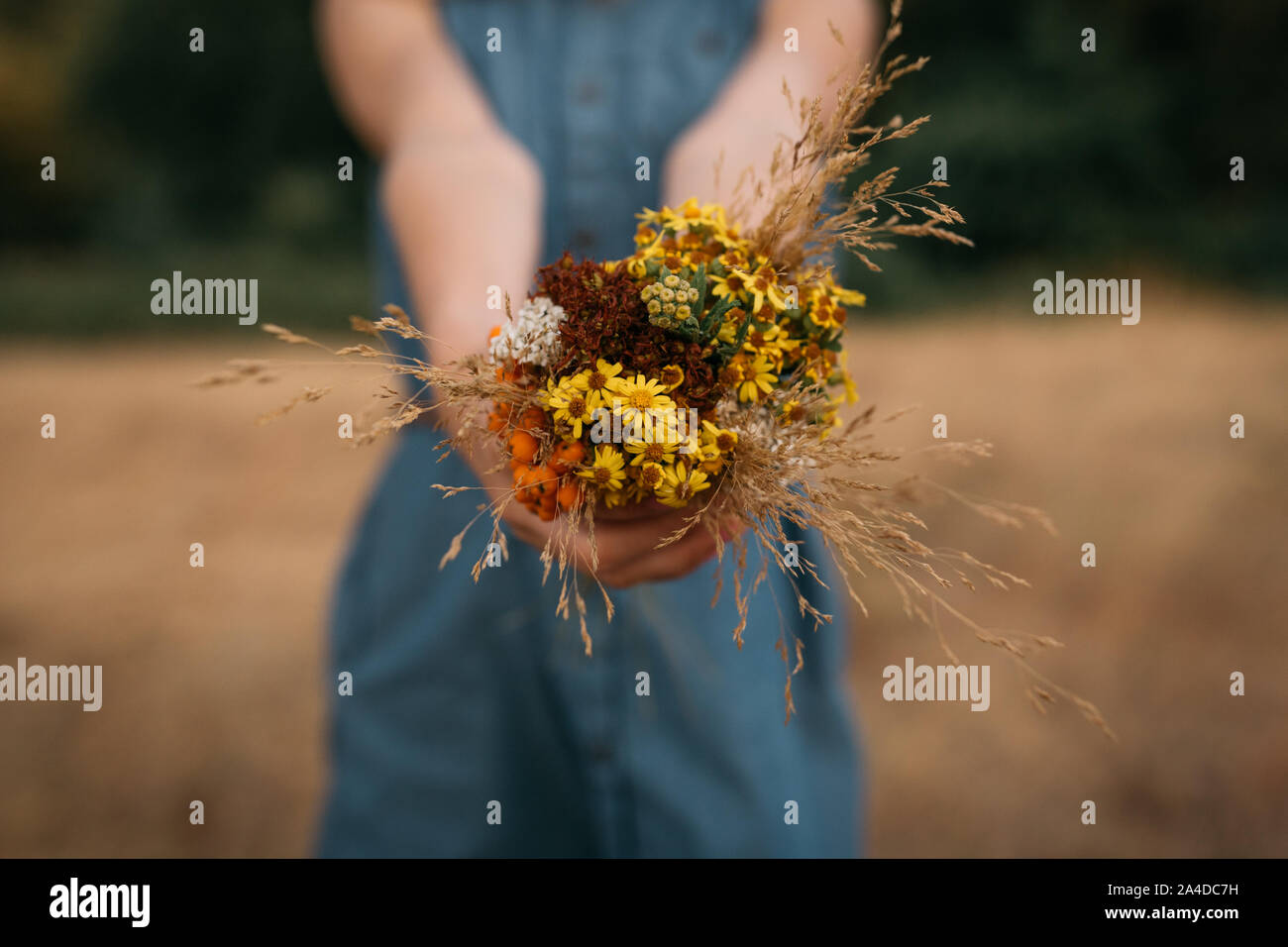 Close-up of a girl holding a bunch of wildflowers, Netherlands Stock Photo