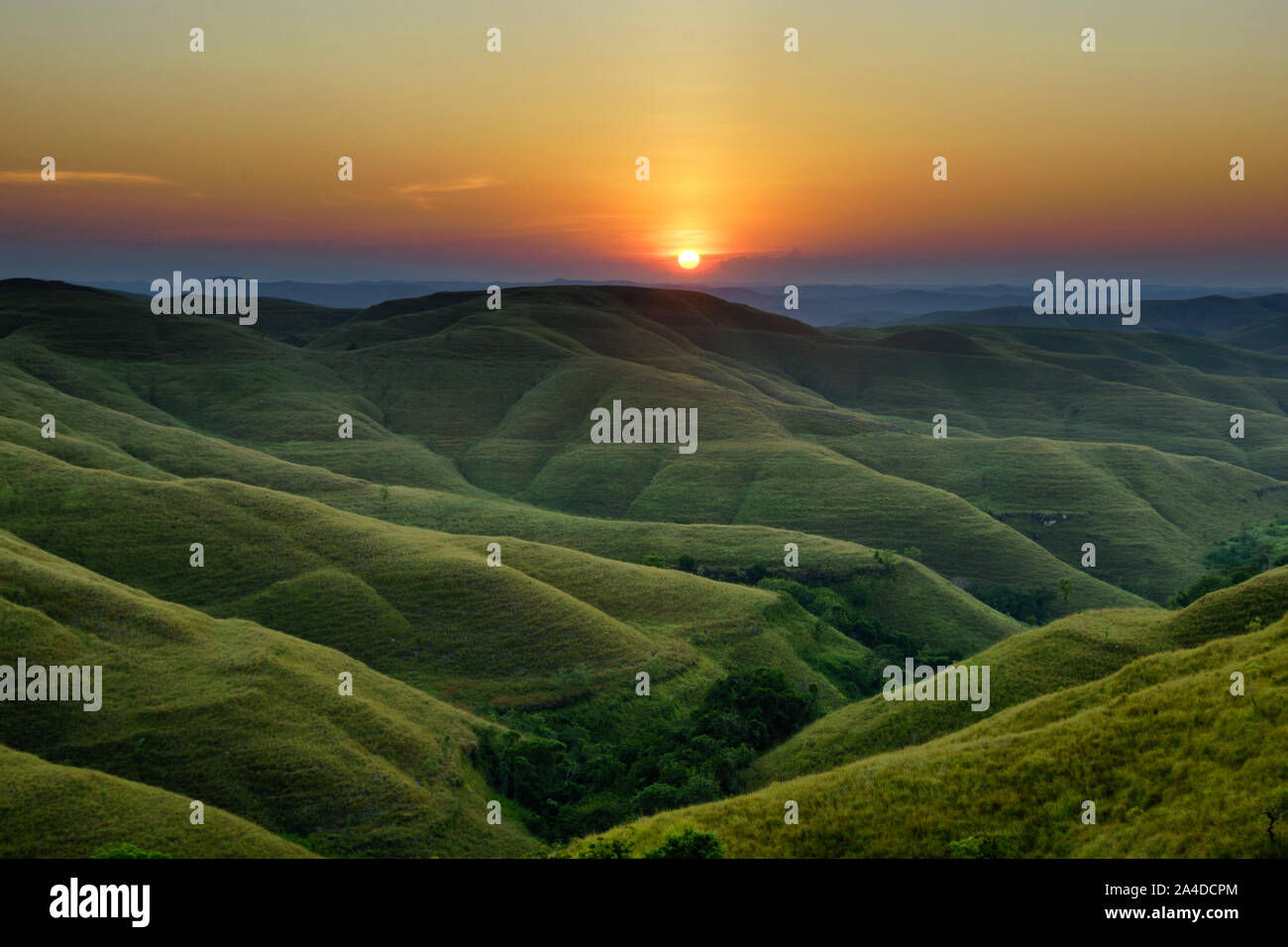 Rolling landscape at sunset, Wairinding Hill, Waingapu, East Sumba, East Nusa Tengara, Indonesia Stock Photo