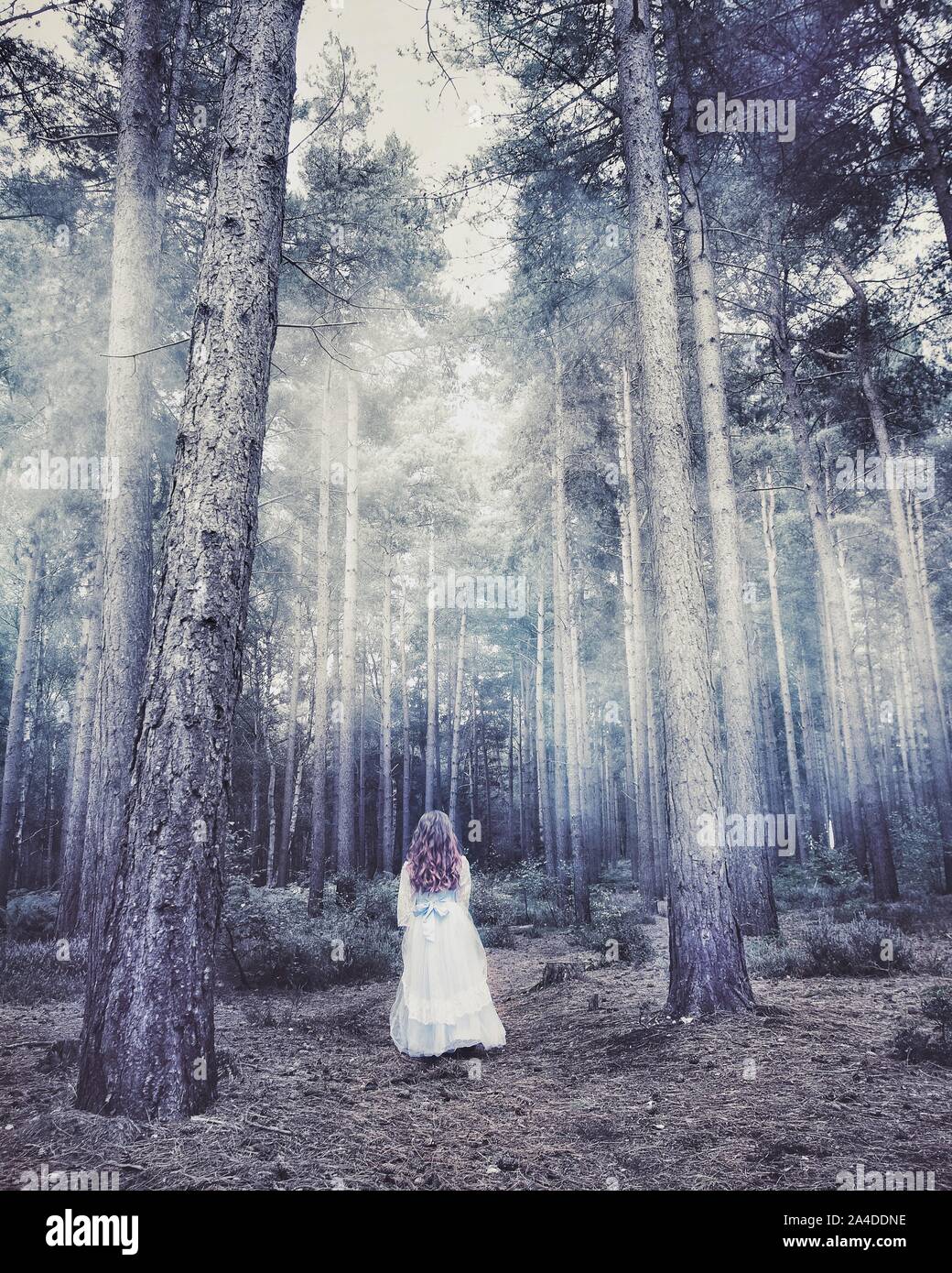Girl in a long dress standing in a forest, Eversley, Hampshire, United Kingdom Stock Photo