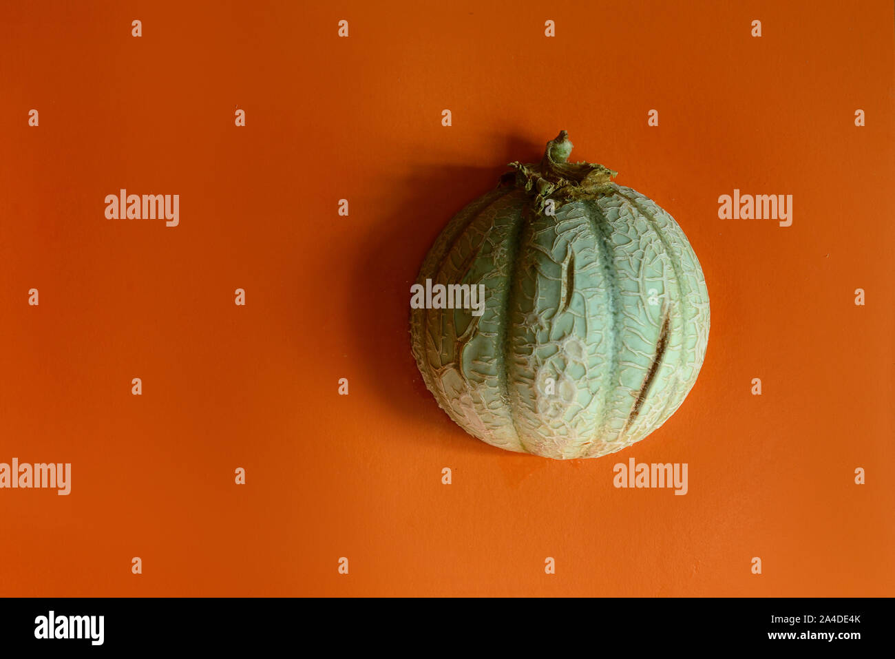 Green cantaloupe on orange background Stock Photo