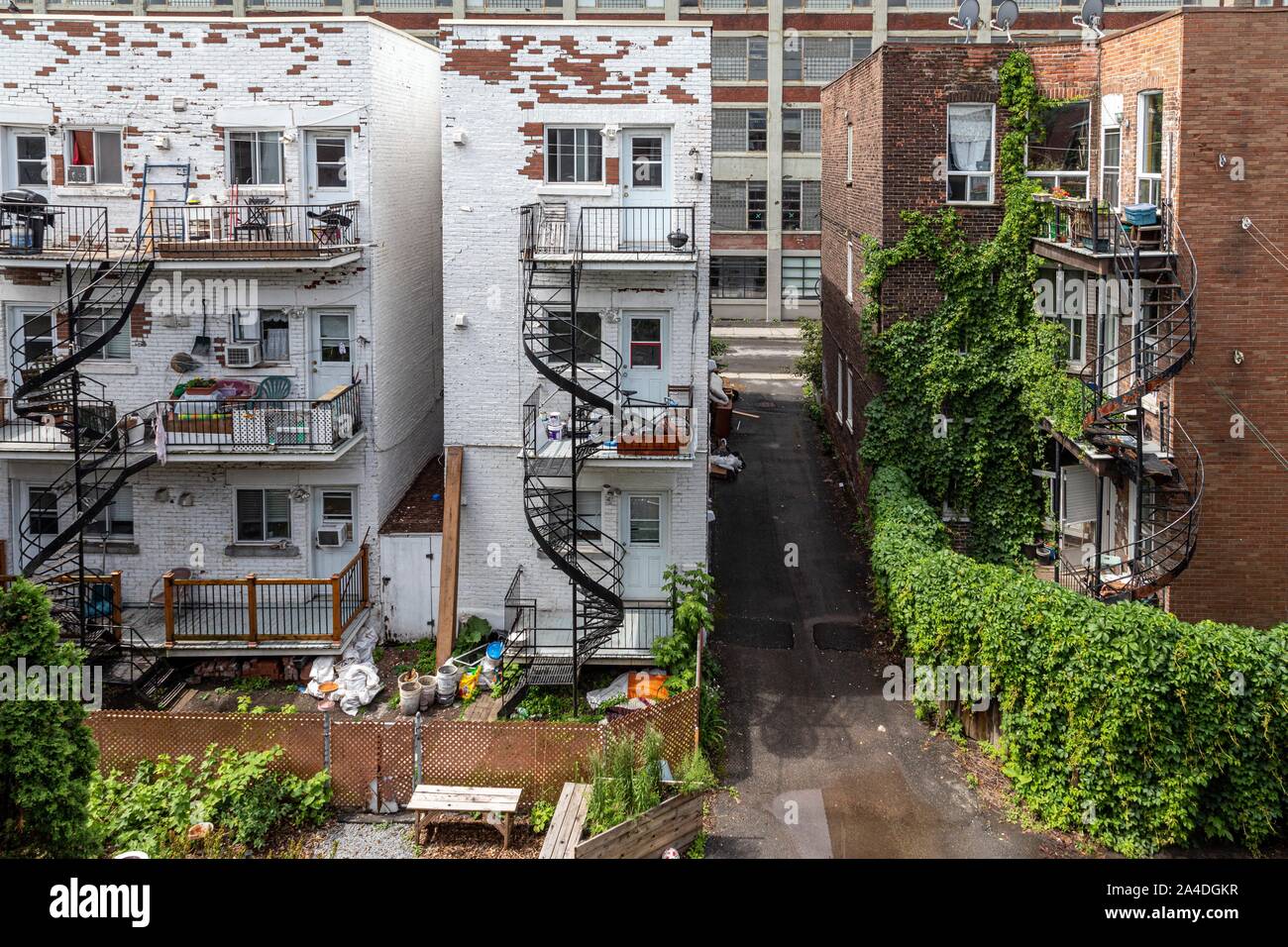 APARTMENT BUILDINGS, MONTREAL, QUEBEC, CANADA Stock Photo Alamy