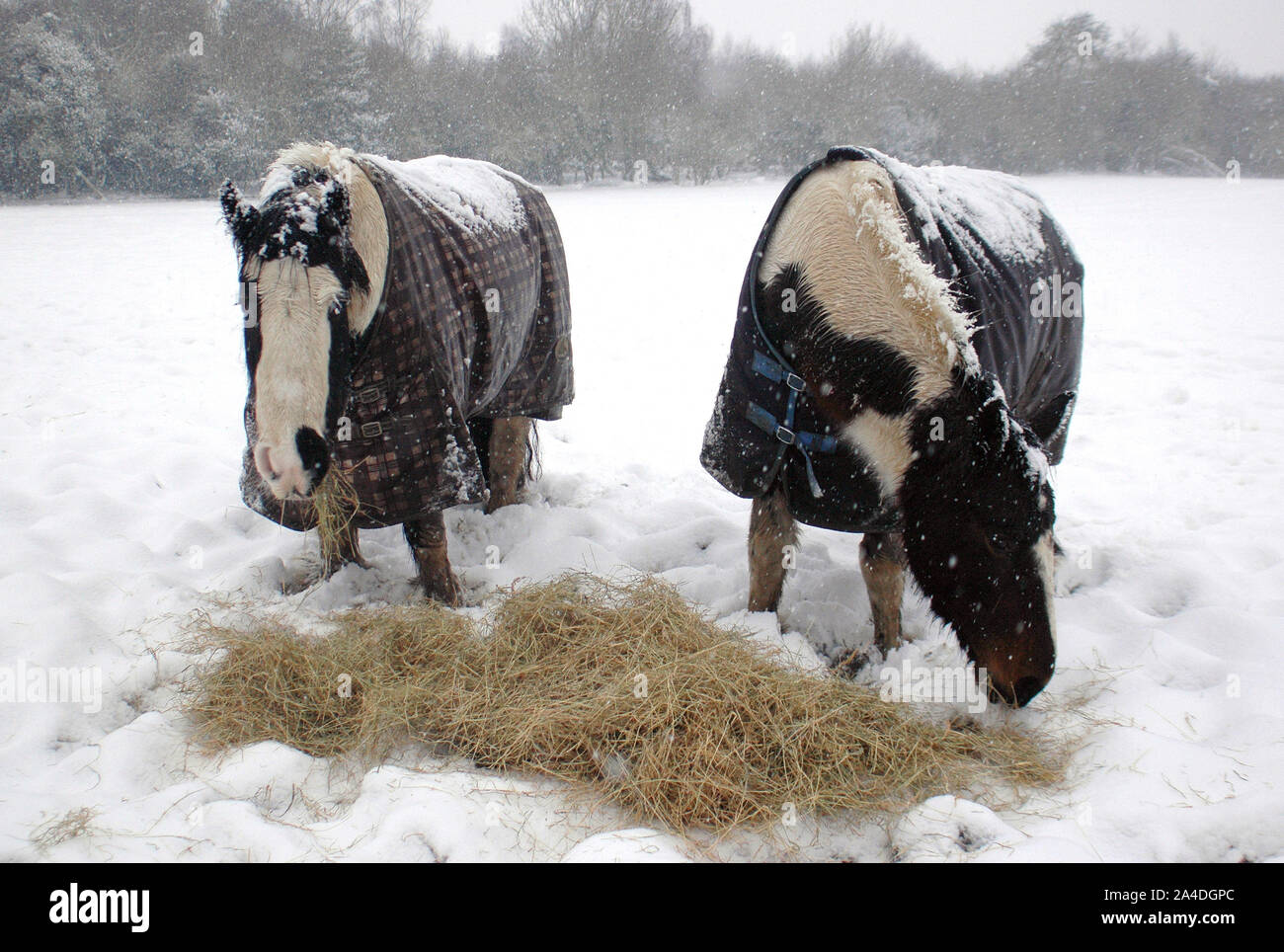 Chelsfield hires stock photography and images Alamy
