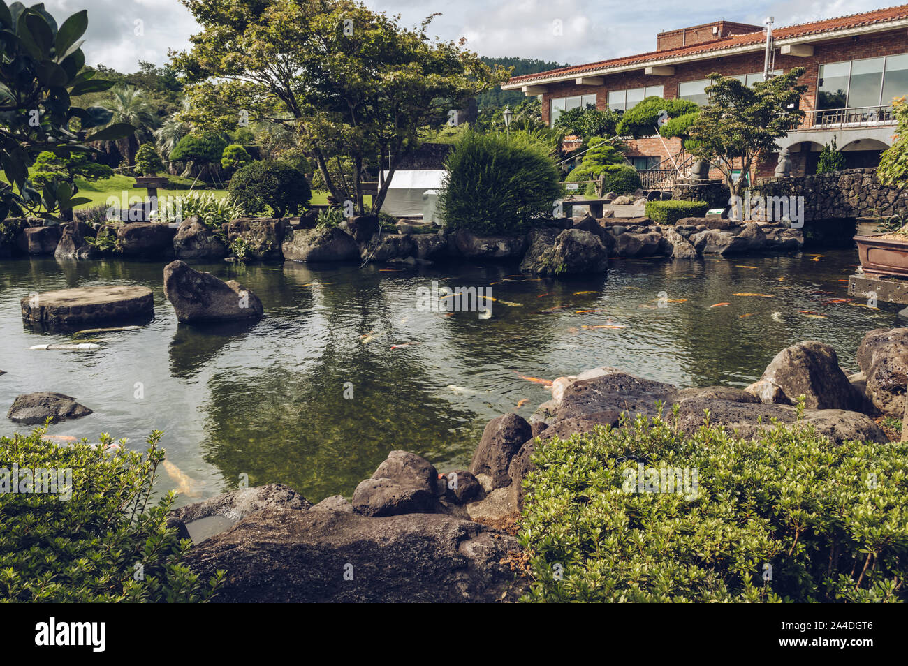Jeju Island, South Korea, september 05, 2019 pond with koi carps