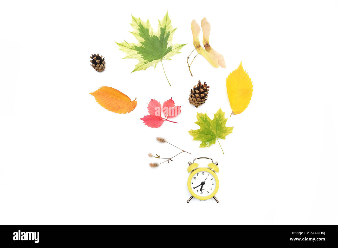 Autumn Time Change, Fall Back, Thanksgiving Maple Leaves and an Alarm Clock isolated on White Background Stock Photo
