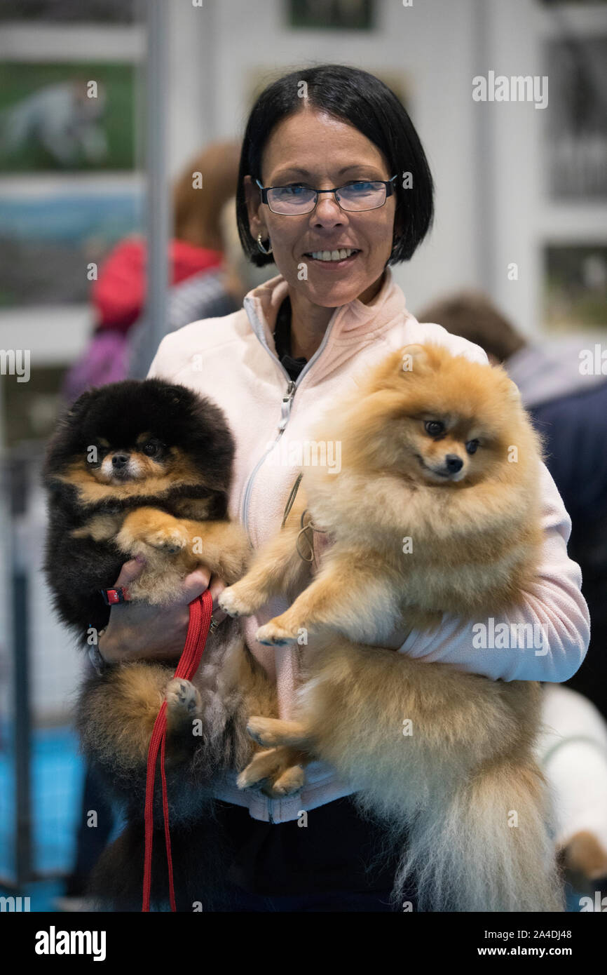 The Kennel Club Discovery Dogs exhibition at Excel London UK. Gina Slough with two Pomeranian Lijuan dogs Stock Photo