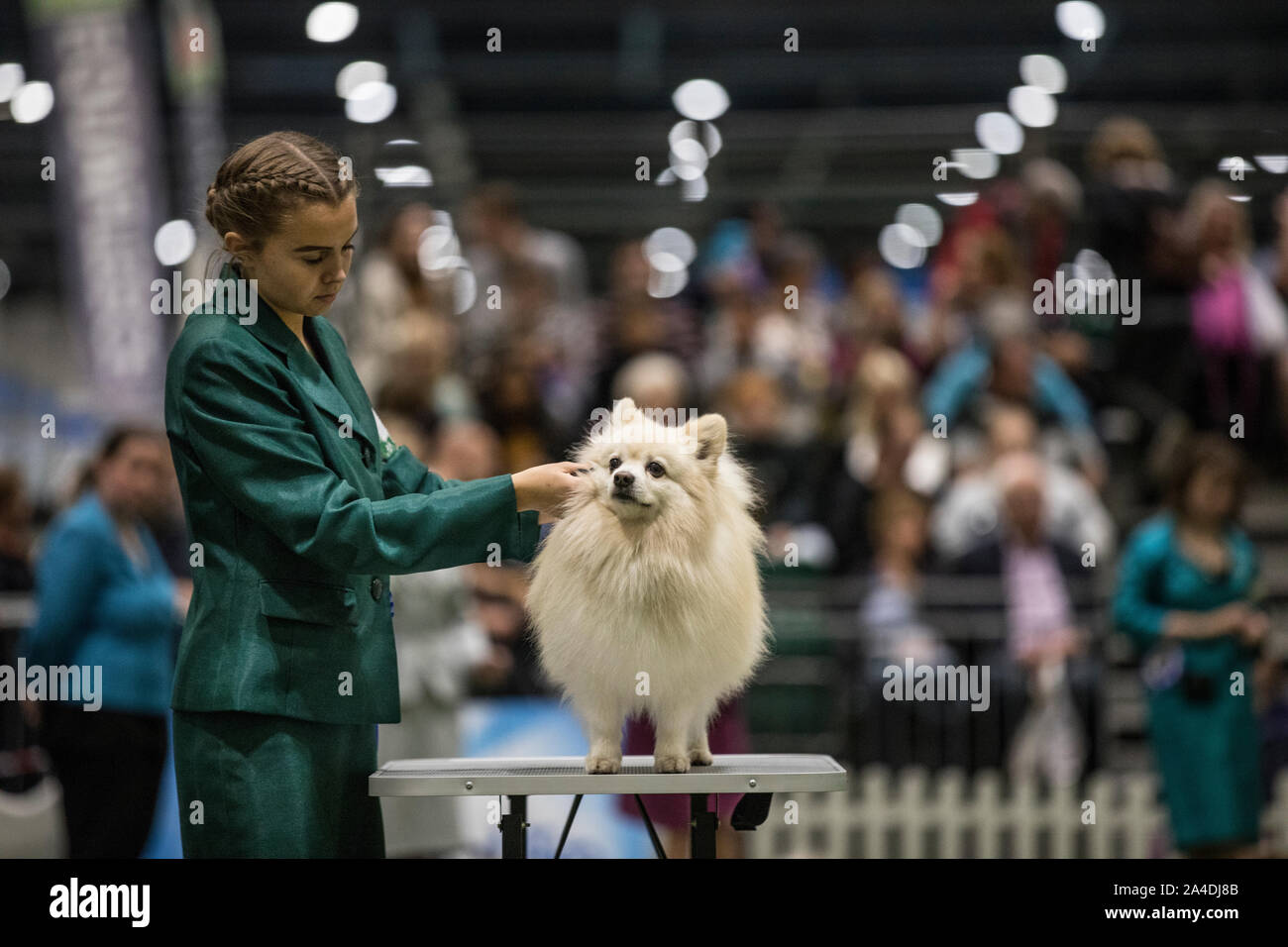 The Kennel Club Discovery Dogs exhibition at Excel London, UK Picture