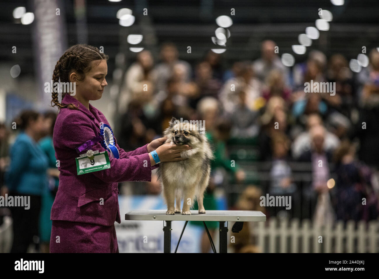 The Kennel Club Discovery Dogs exhibition at Excel London, UK Picture shows the final judging of the UK Junior Handler of the Year 2019. Stock Photo