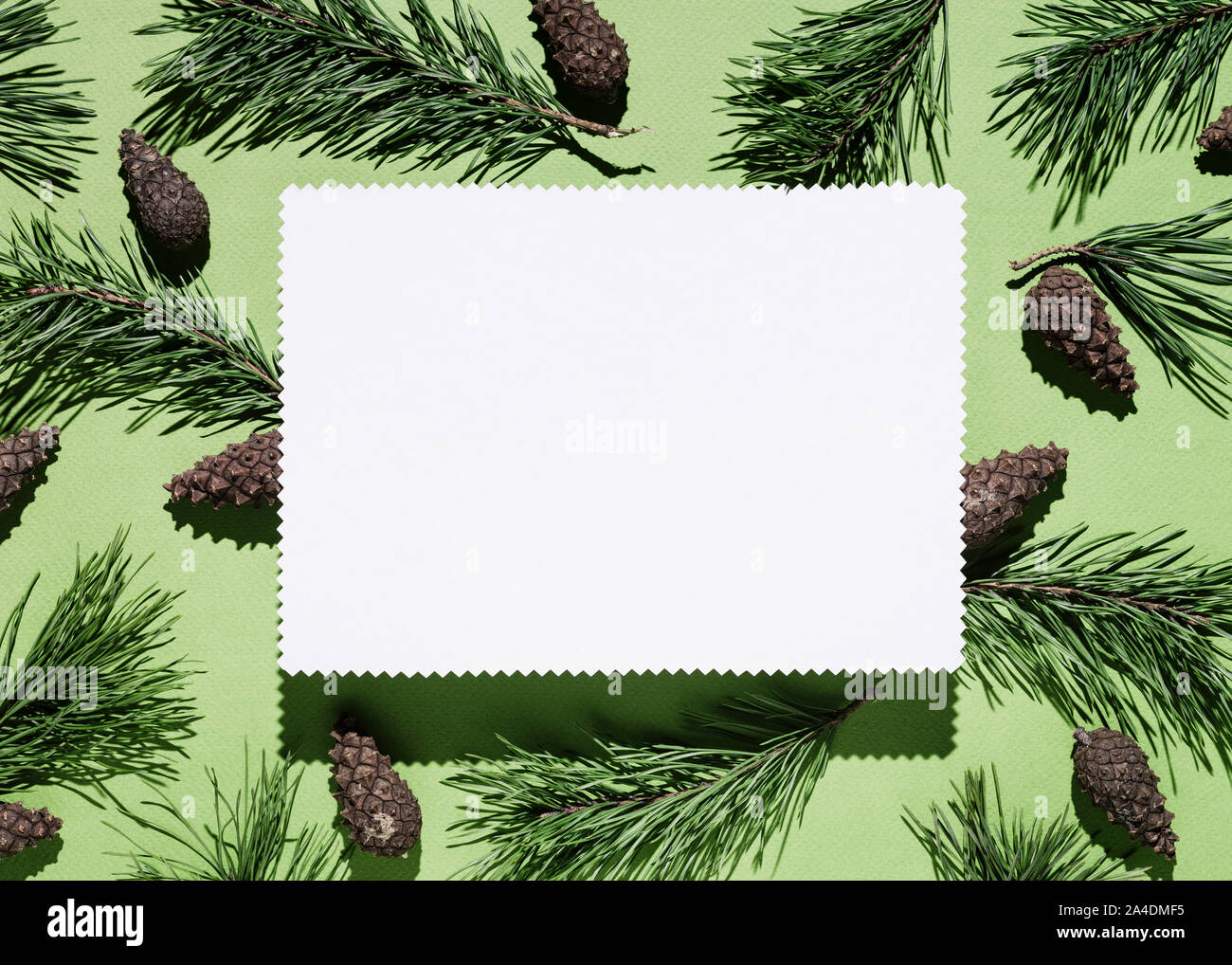 Christmas background with note paper on green. Decor from pine branches and cones Stock Photo