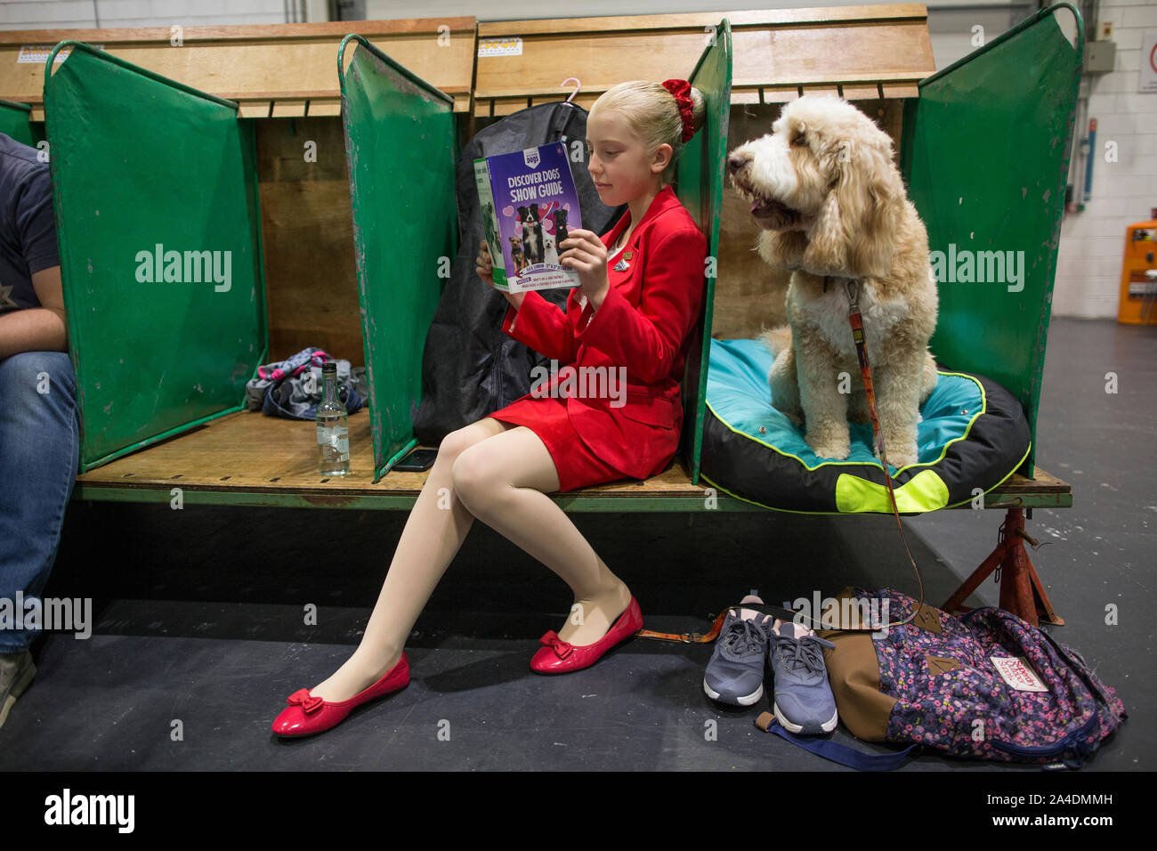 The Kennel Club Discovery Dogs exhibition at Excel London, UK. Grace Westow from Frinton, Essex, sat waiting with Dobby, Cockerspaniel Cross Poodle. Stock Photo