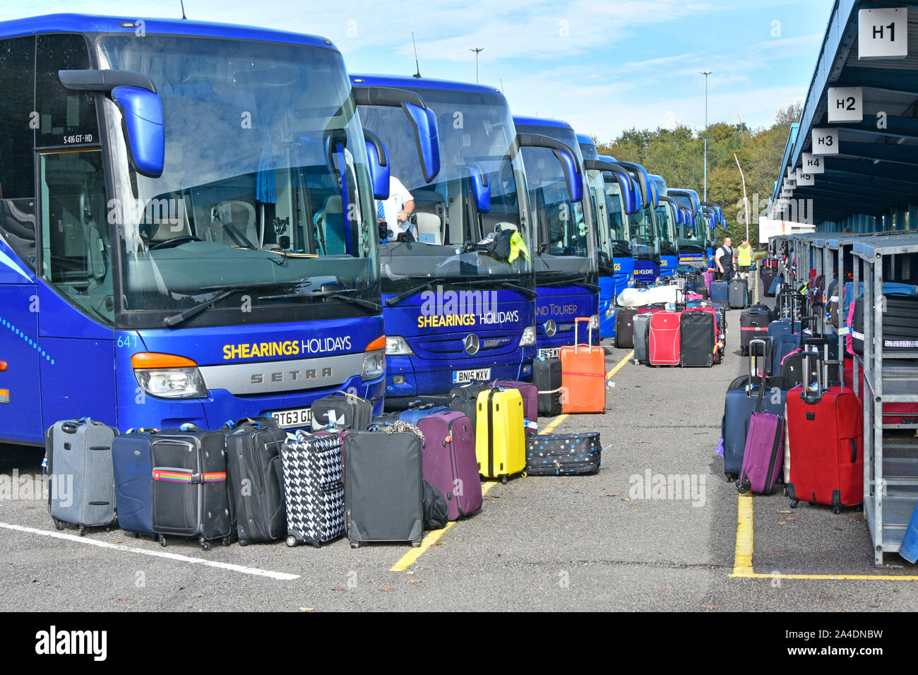 Shearings holiday coaches & suitcases wait sorting & loading at feeder coach interchange London Gateway Scratchwood Services North London England UK Stock Photo