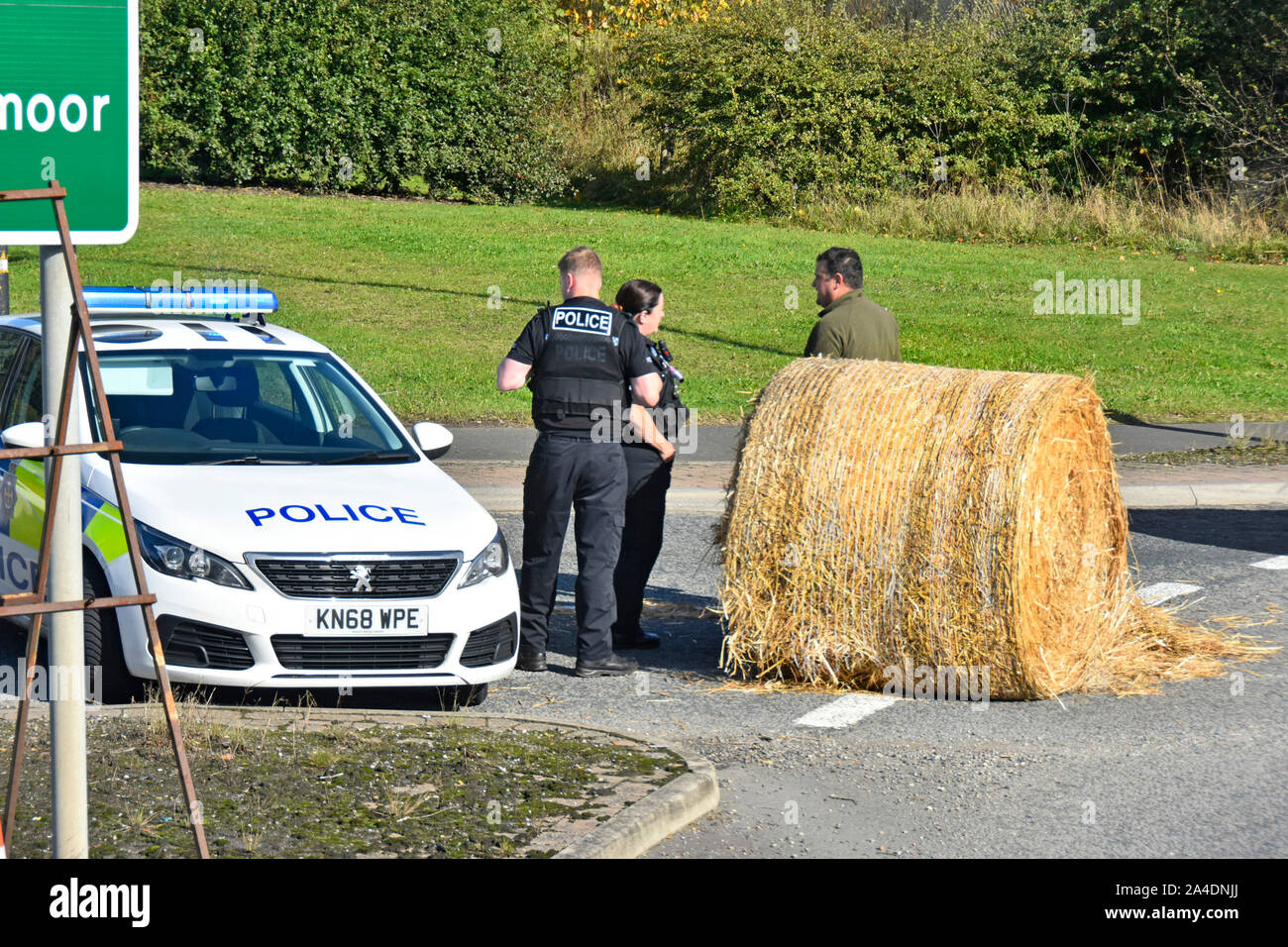 Policeman & policewoman officer attend in police patrol car straw bale in road incident A689 roundabout Rushyford County Durham England UK (see info) Stock Photo