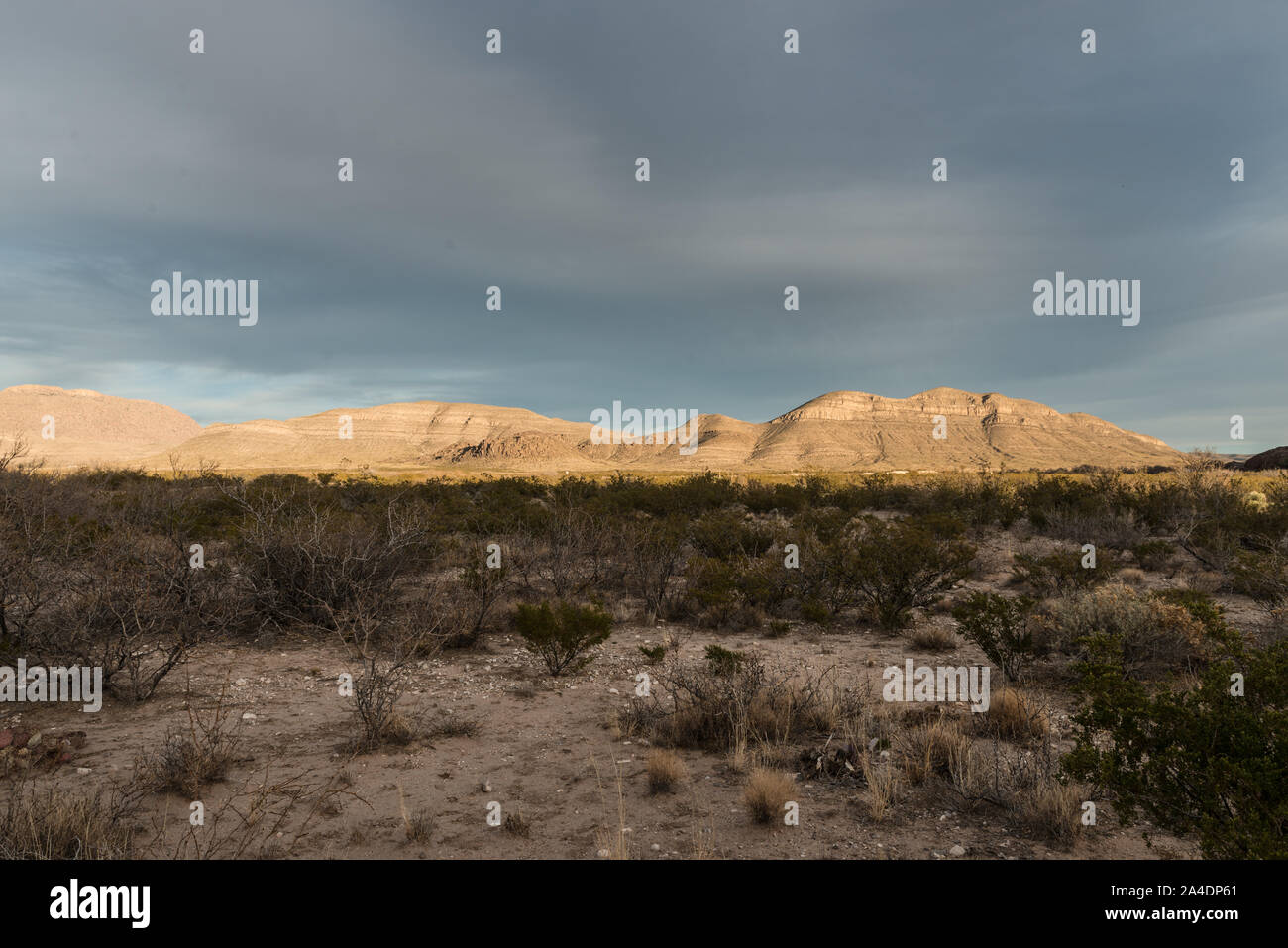 The rocky surroundings of Hueco Tanks State Park & Historic Site in the