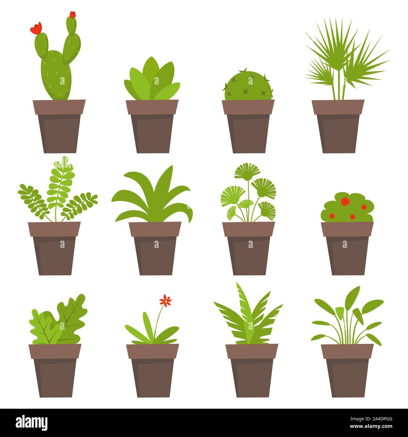 Potted plants and flowers icons. Cute house plants in flat style. Simple  vector illustration Stock Vector Image & Art - Alamy
