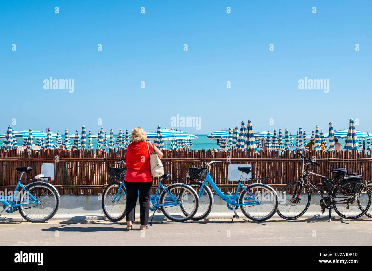 Rental bikes on the beach. Blue bicycles on the street. Many beach umbrellas. Stock Photo
