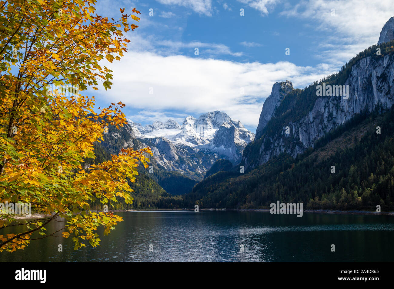 Mount Dachstein seen from famous Lake Gosau, Austria. A colorfull autumn spectacle is ongoing in the alps with a yellow, orange maple tree nicely illu Stock Photo