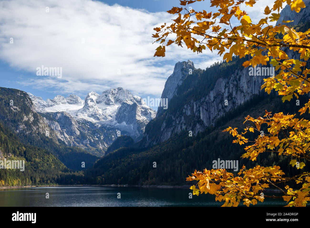 Mount Dachstein seen from famous Lake Gosau, Austria. A colorfull autumn spectacle is ongoing in the alps with a yellow, orange maple tree nicely illu Stock Photo