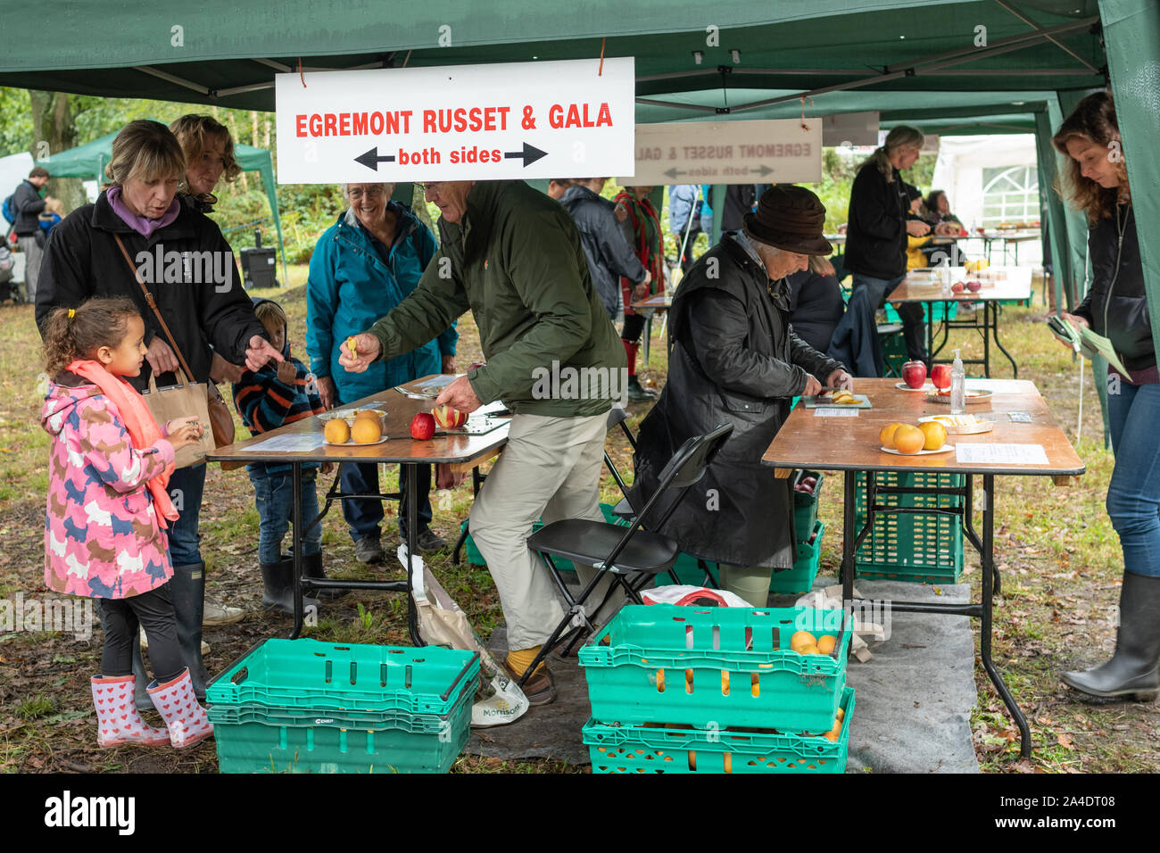 Blackmoor Apple Tasting Day, an annual event during October in the Hampshire village, UK Stock Photo