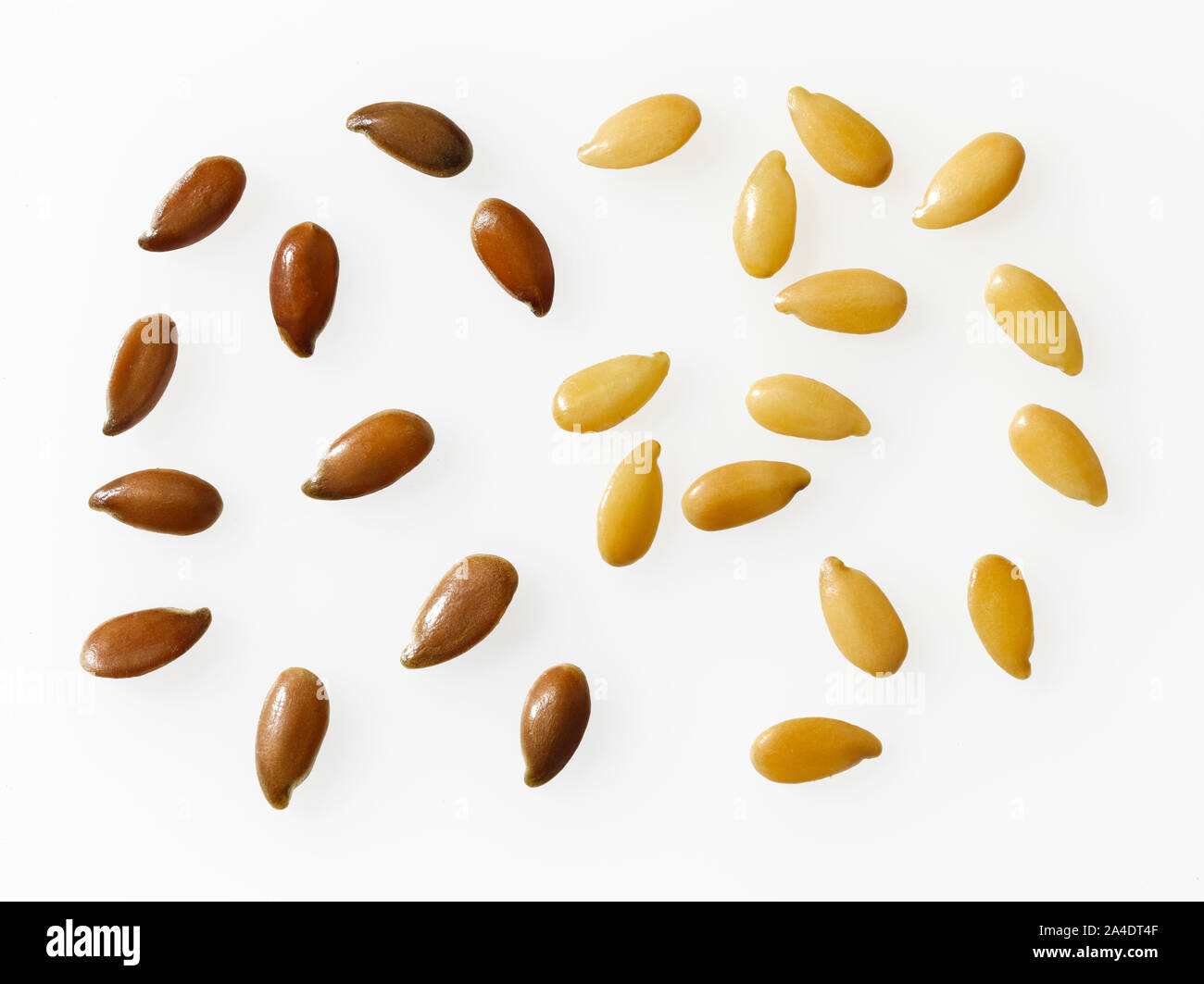 flax seeds Stock Photo