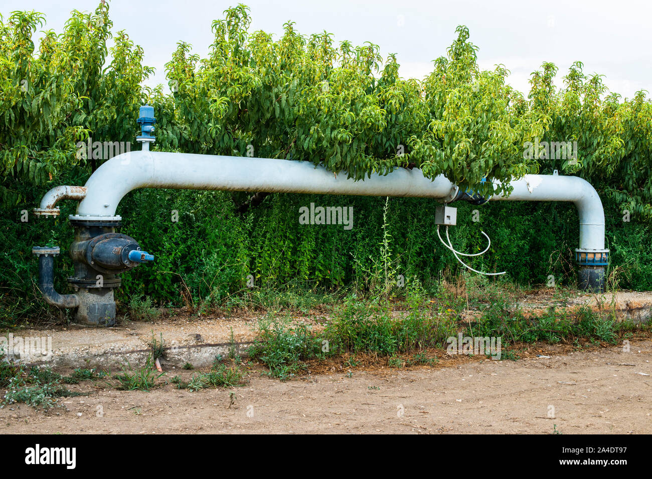 Watering pipes and peaches orchard. Big irrigation systems Stock Photo
