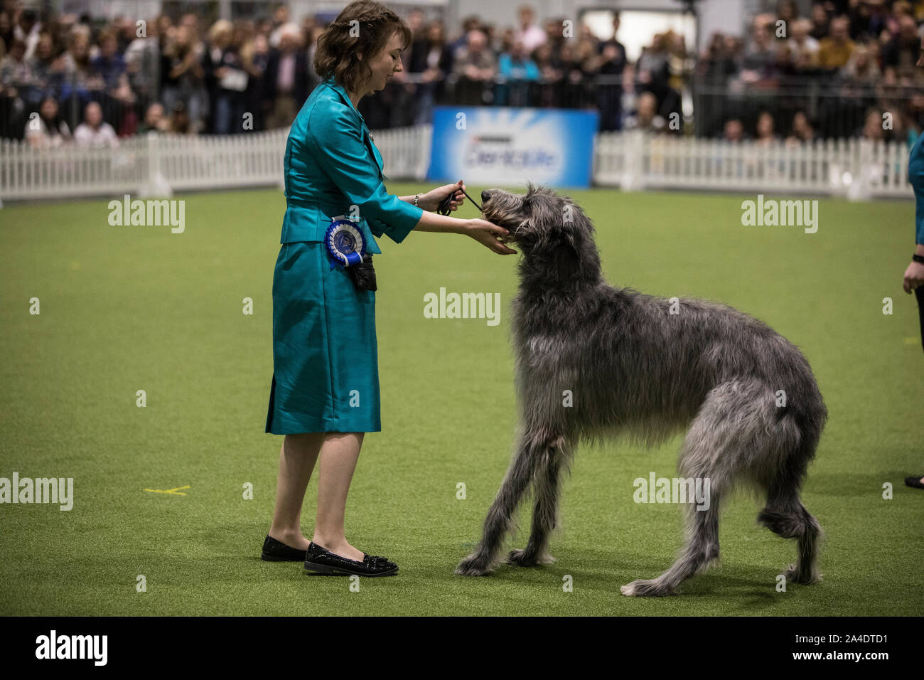 The Kennel Club Discovery Dogs exhibition at Excel London UK Picture shows Abigail Levene winner of final judging of the UK Junior Handler of the Year Stock Photo