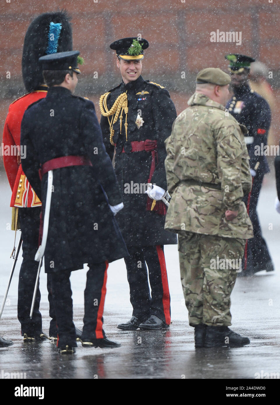 Photo Must Be Credited ©Kate Green/Alpha Press 077017 17/03/2013 Prince William Duke of Cambridge at the St Patricks Day Parade held at Mons Barracks in Aldershot, Hampshire Stock Photo