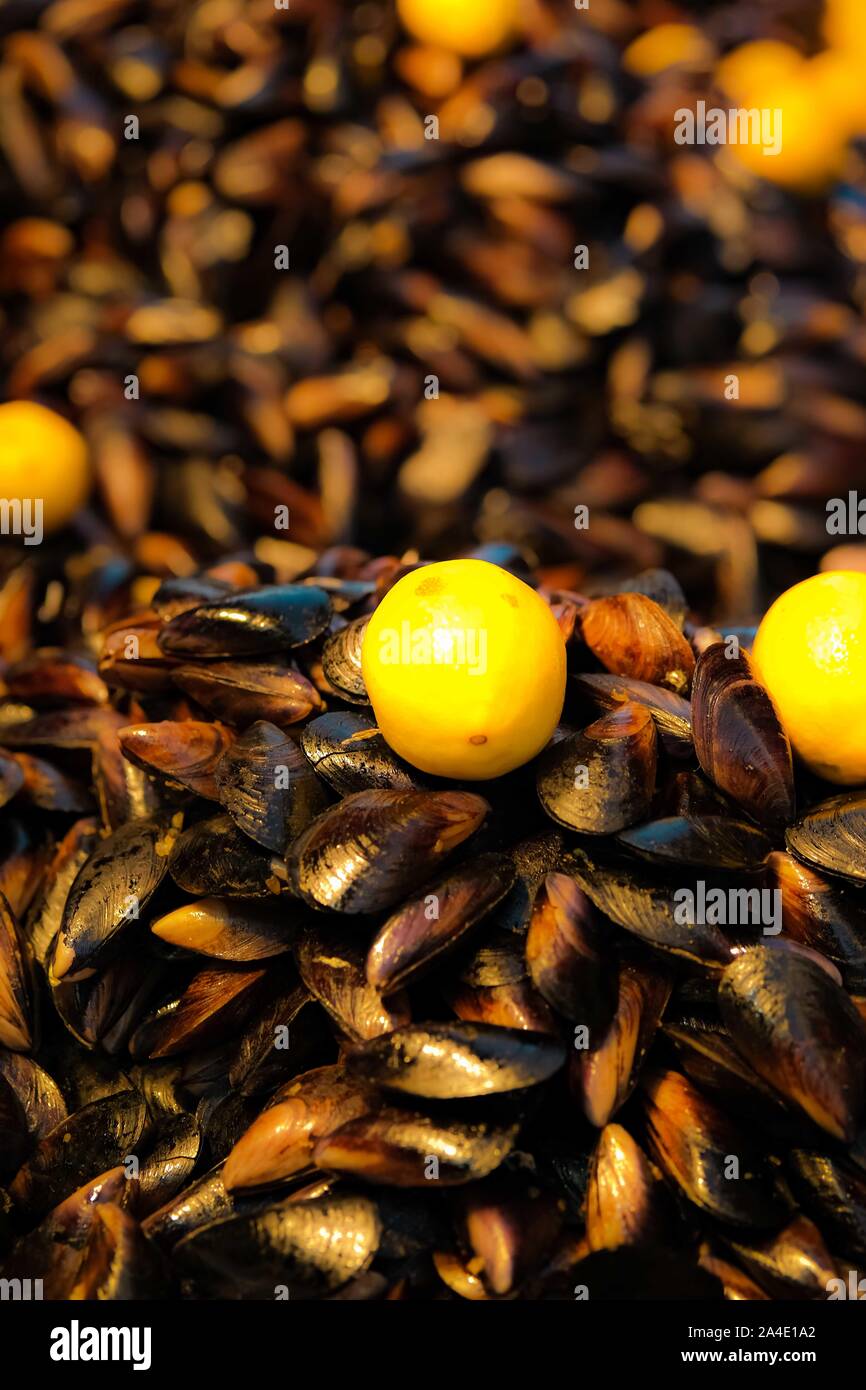 Ready to eat mussels stuffed with spicy cooked rice and lemon. Street food concept. Mediterranean region. Traditional in Turkey. Selective focuse. Stock Photo