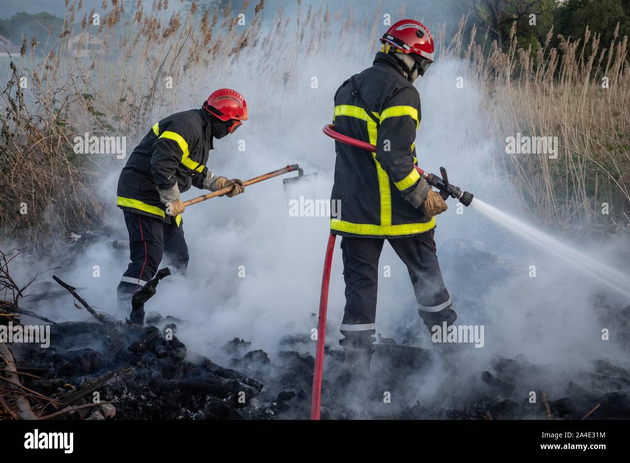 FIREFIGHTERS EXTINGUISHING A BRUSH FIRE (REEDS) WITH FIRE BEATERS, EMERGENCY SERVICES CENTER OF CHAMBERY, LES MARCHES, SAVOY (73), FRANCE Stock Photo