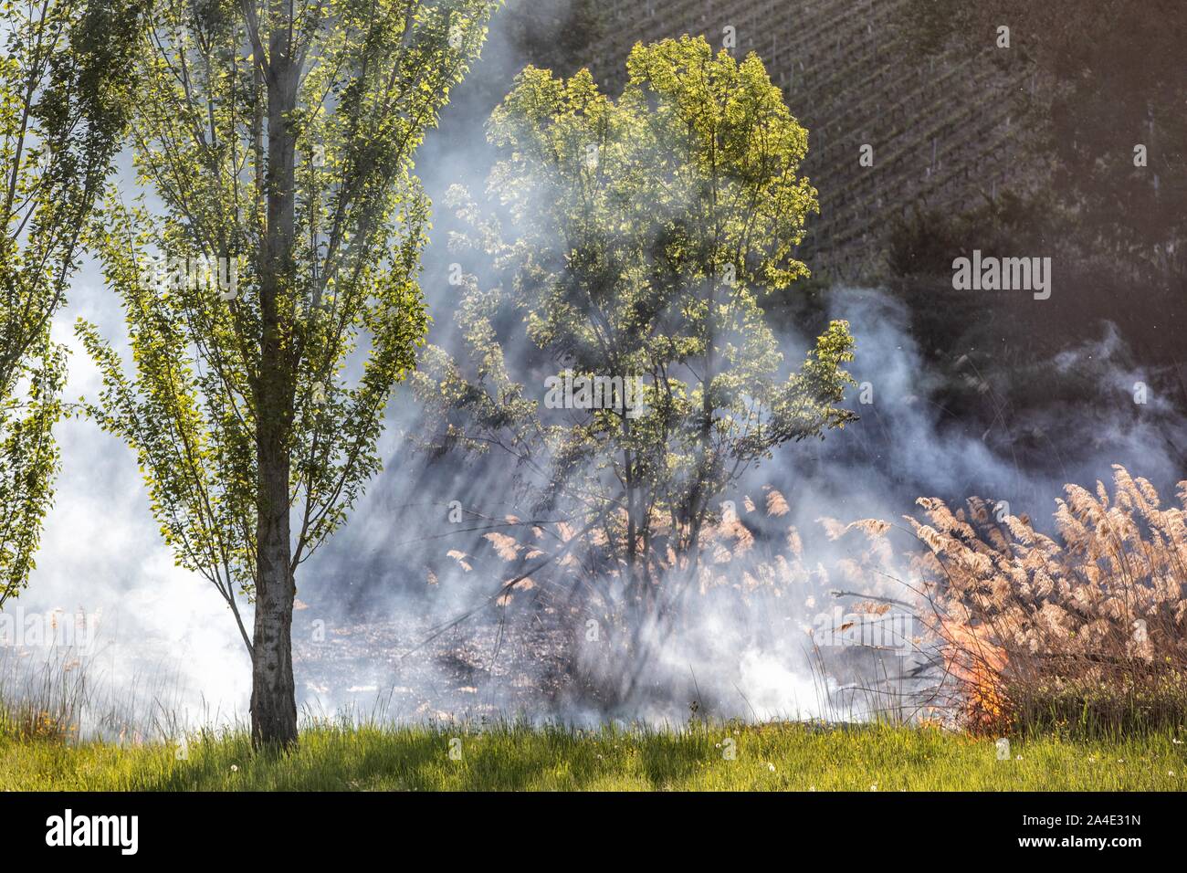 BRUSH FIRE (REEDS) BENEATH HIGH-VOLTAGE PYLONS, EMERGENCY SERVICES CENTER OF CHAMBERY, LES MARCHES, SAVOY (73), FRANCE Stock Photo