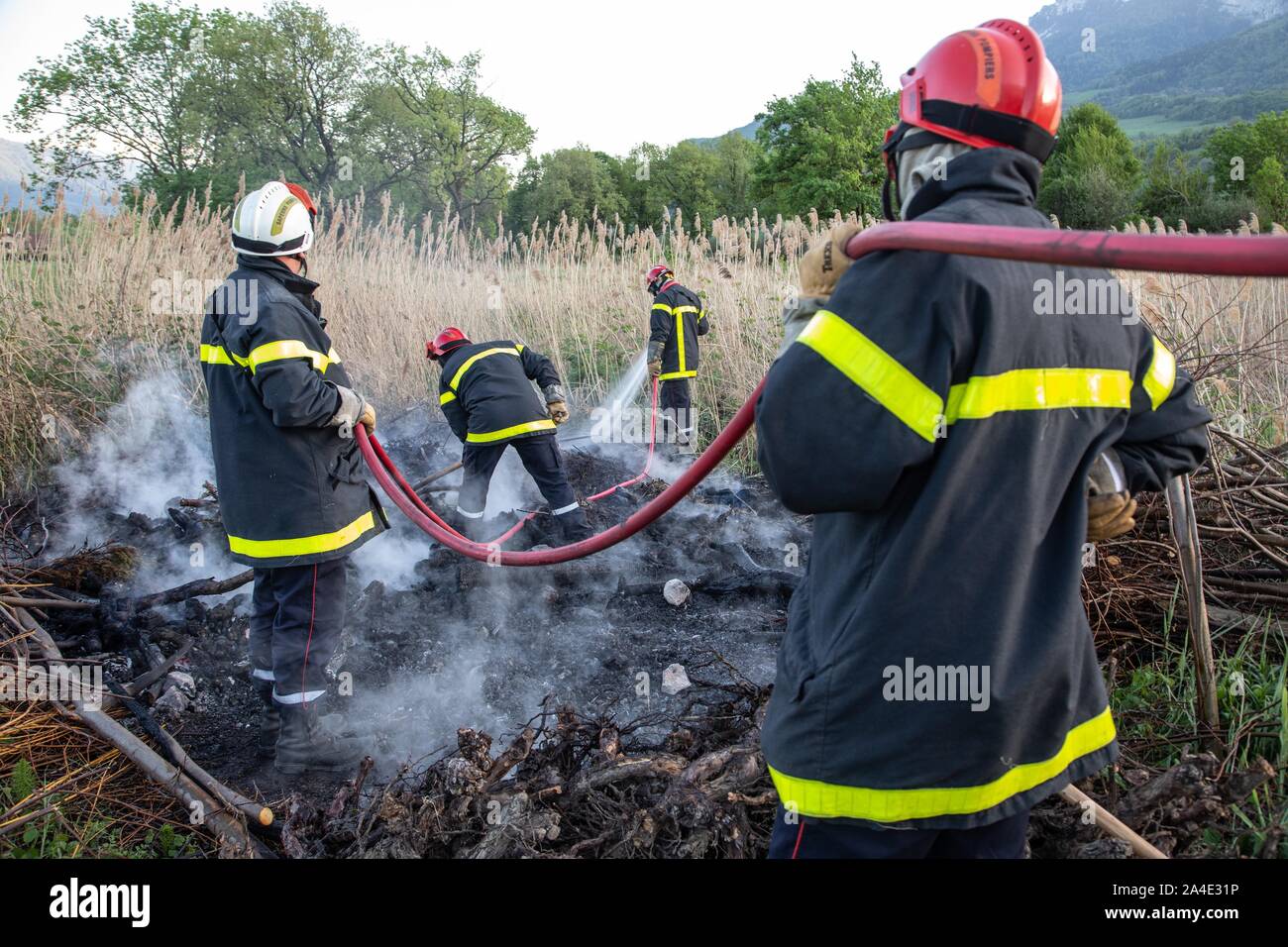 FIREFIGHTERS EXTINGUISHING A BRUSH FIRE (REEDS) WITH FIRE BEATERS AND A