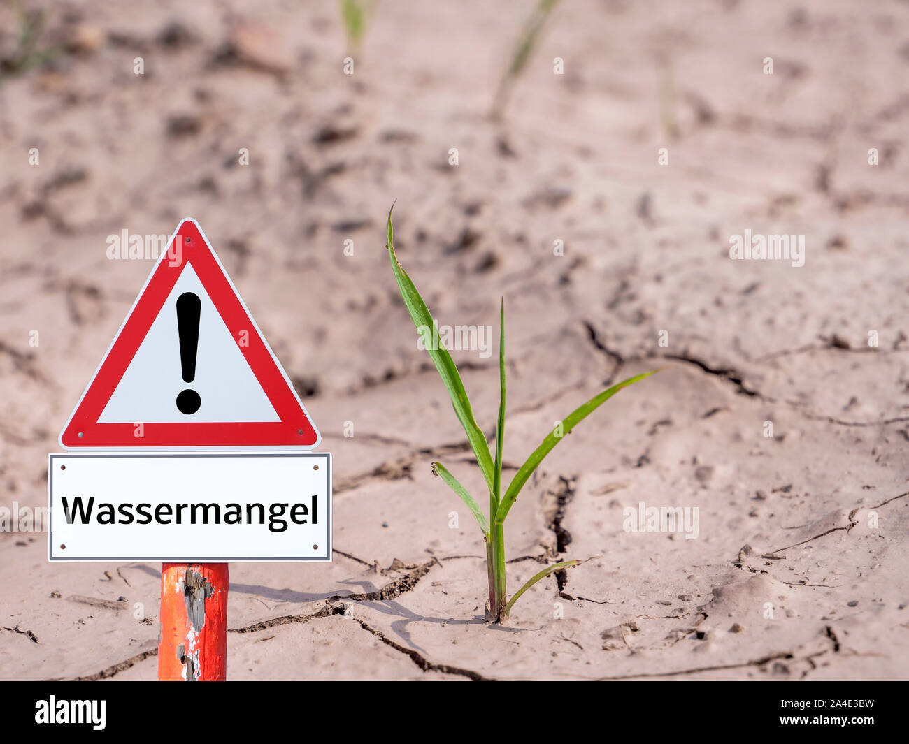 Warning sign lack of water plant in German Stock Photo