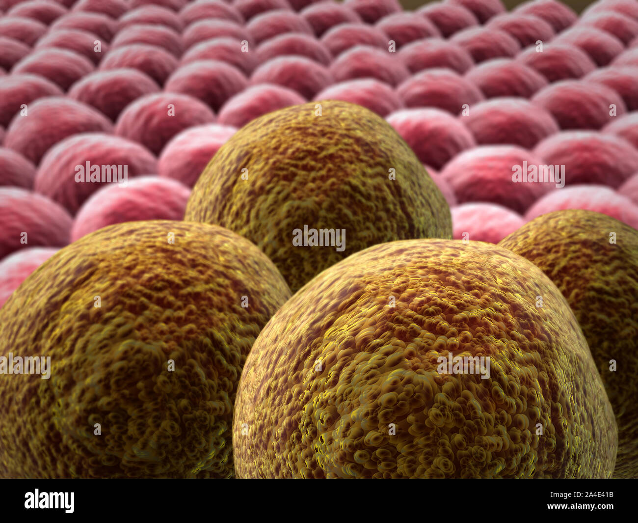 3d rendered cancer cell, Clusters of infected cells, cancer cells on the living cells Stock Photo