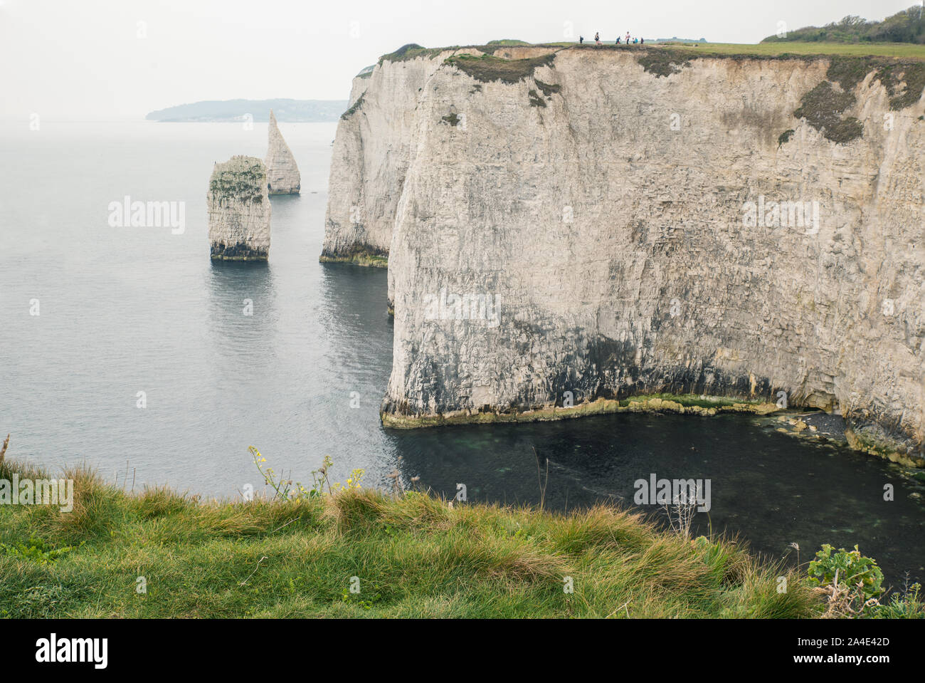 View over Old Harry Rocks, Swanage, Dorset Stock Photo