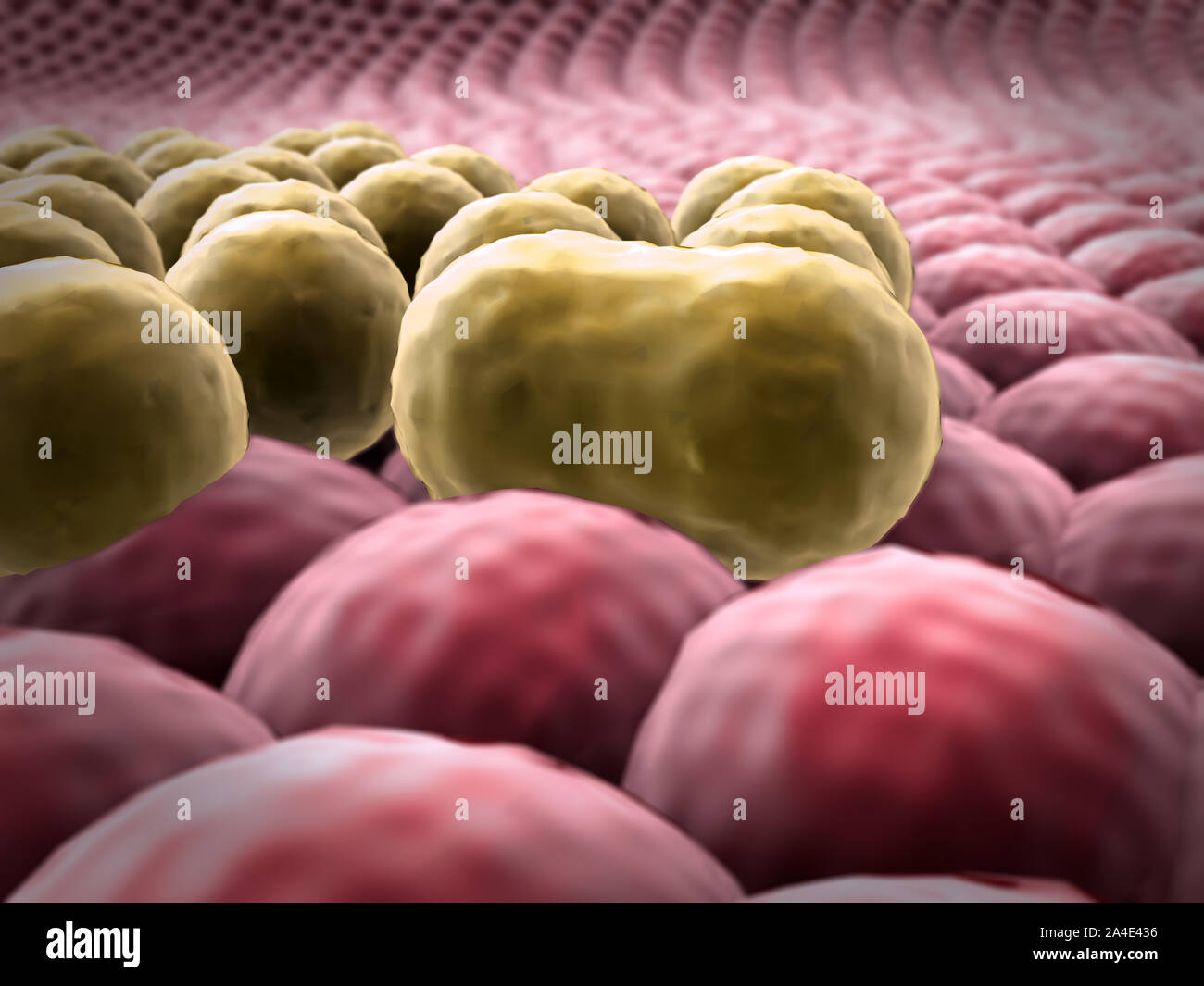 3d rendered cancer cell, Clusters of infected cells, cancer cells on the living cells Stock Photo